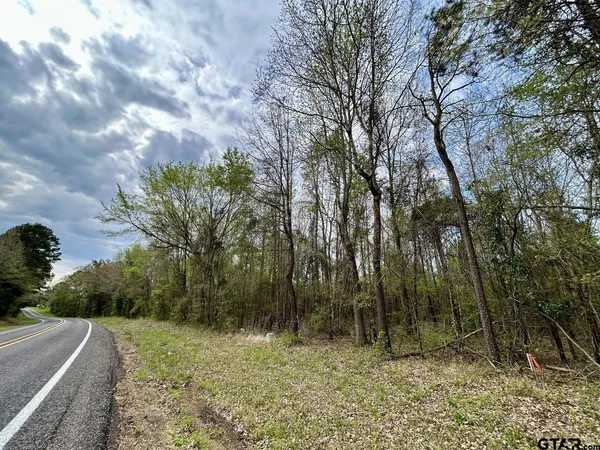 a view of a yard with trees
