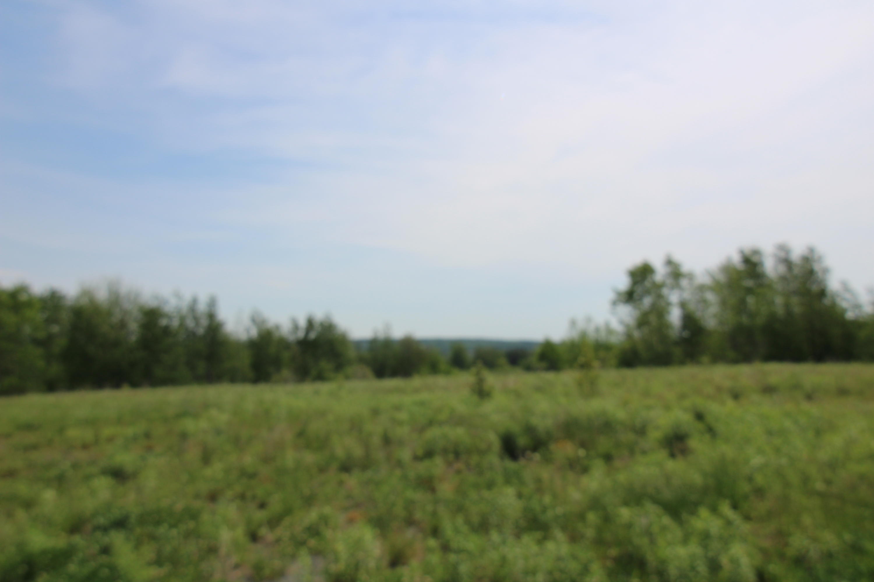 Map9-lot6 River Road Caribou, ME 04736 - Photo 3 of 8 IMG_0933