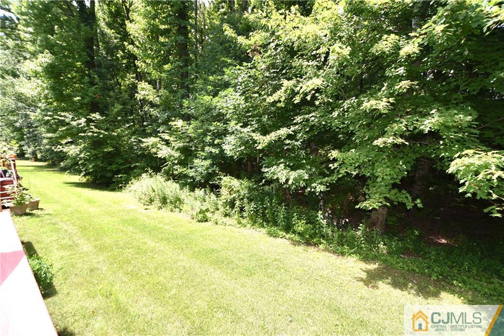 248 Hawthorne Road North Brunswick, NJ 08902 - Photo 19 of 24 a view of a yard with a tree