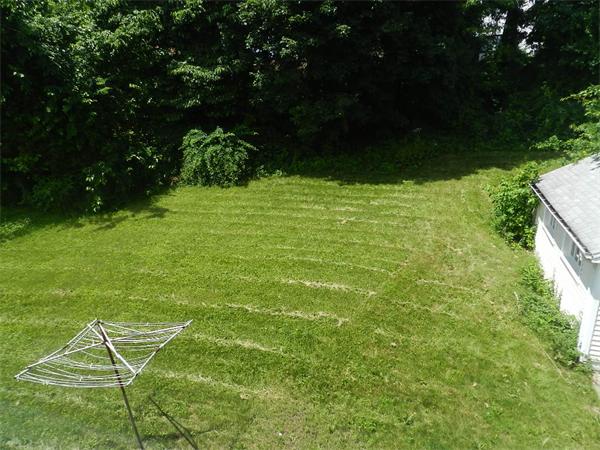 196 Pasco Road Springfield, MA 01151 - Photo 3 of 19 a backyard of a house with lots of green space and garden