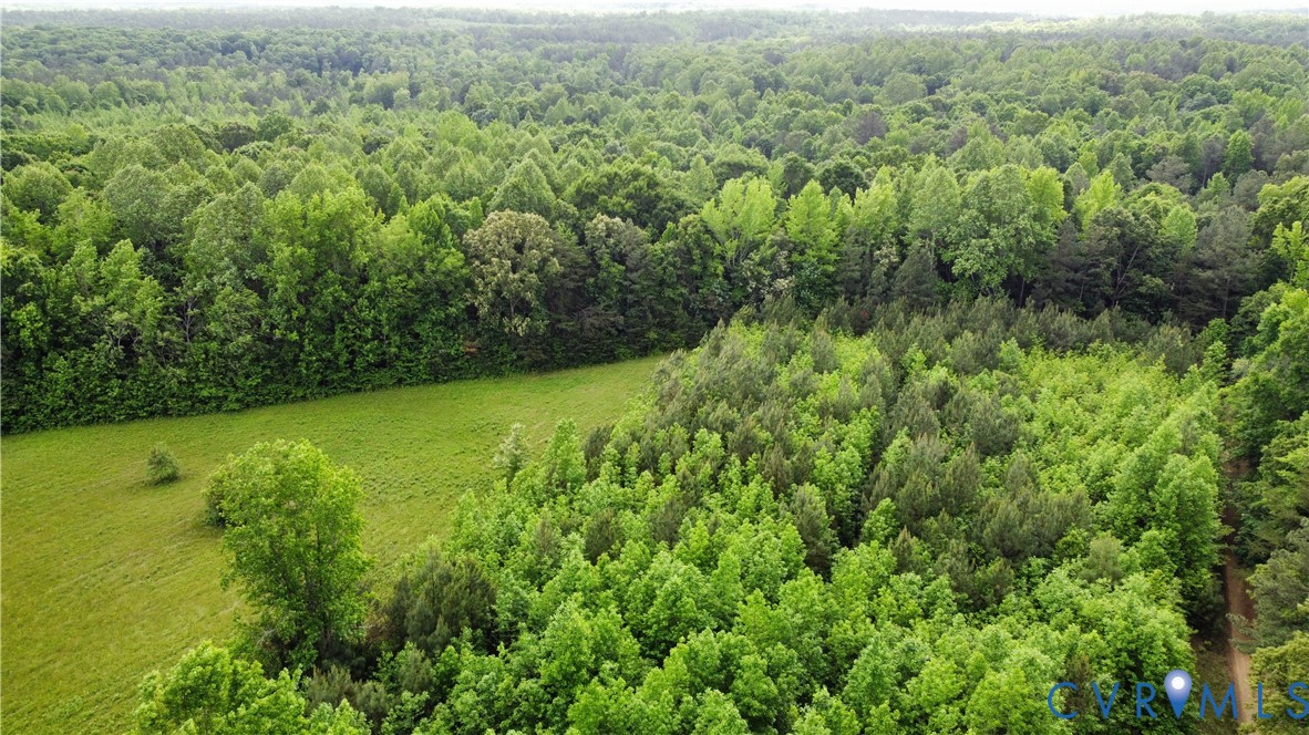 Tbd Clarke Road Lanexa, VA 23089 - Photo 13 of 19 View of aerial view
