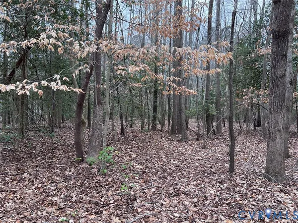 $110,000 | Tbd Clarke Road, Lanexa, VA 23089