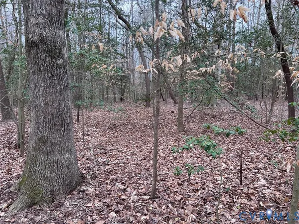 $110,000 | Tbd Clarke Road, Lanexa, VA 23089