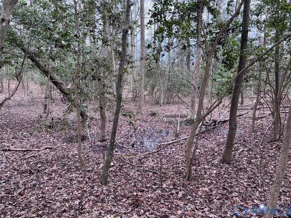 $110,000 | Tbd Clarke Road, Lanexa, VA 23089
