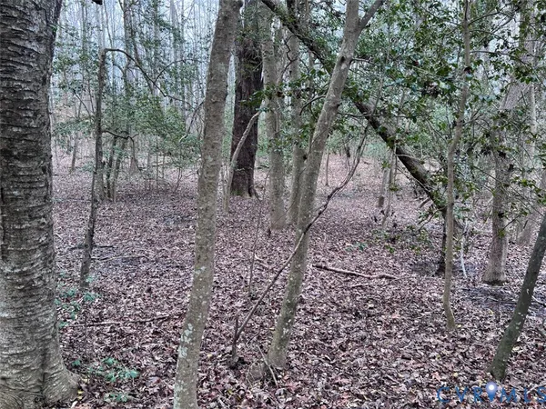 $110,000 | Tbd Clarke Road, Lanexa, VA 23089