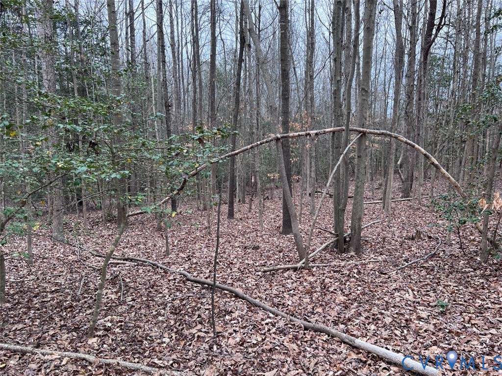 Tbd Clarke Road Lanexa, VA 23089 - Photo 19 of 19 View of mother earth's splendor