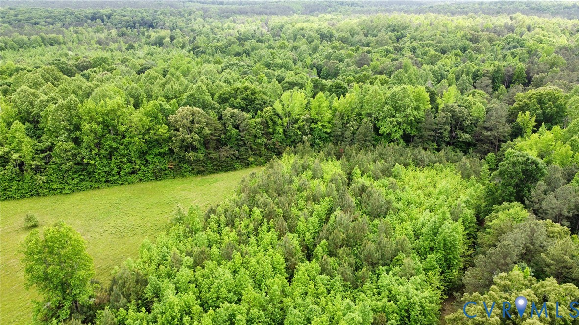 Tbd Clarke Road Lanexa, VA 23089 - Photo 5 of 19 View of aerial view