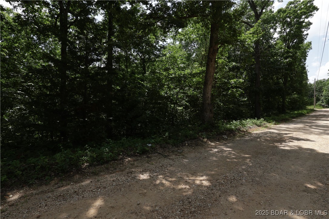 Lot 211 Bogue Circle Rocky Mount, MO 65072 - Photo 7 of 14 Nice mix of trees and gentle lot