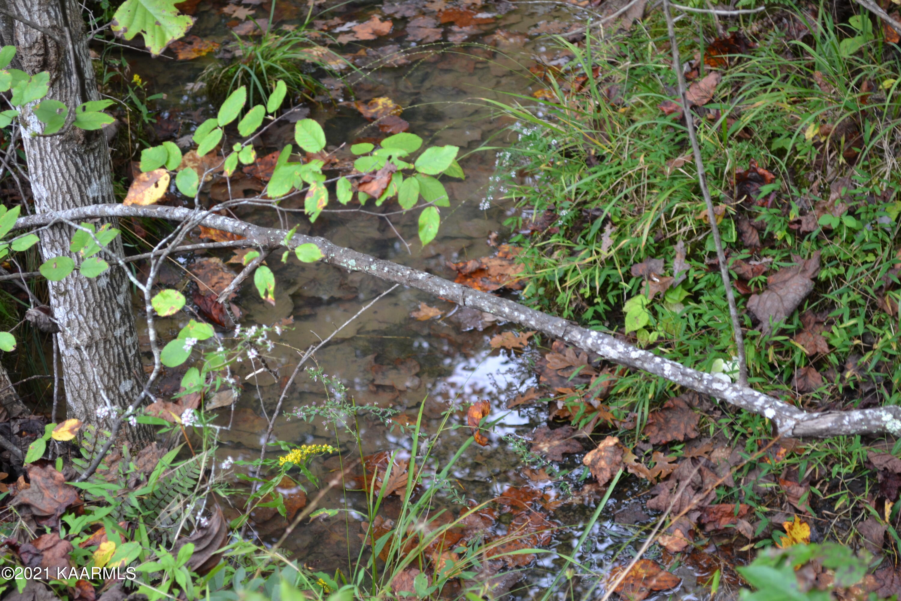 Warman Dr Spring Spring City, TN 37381 - Photo 15 of 18 DSC_0362