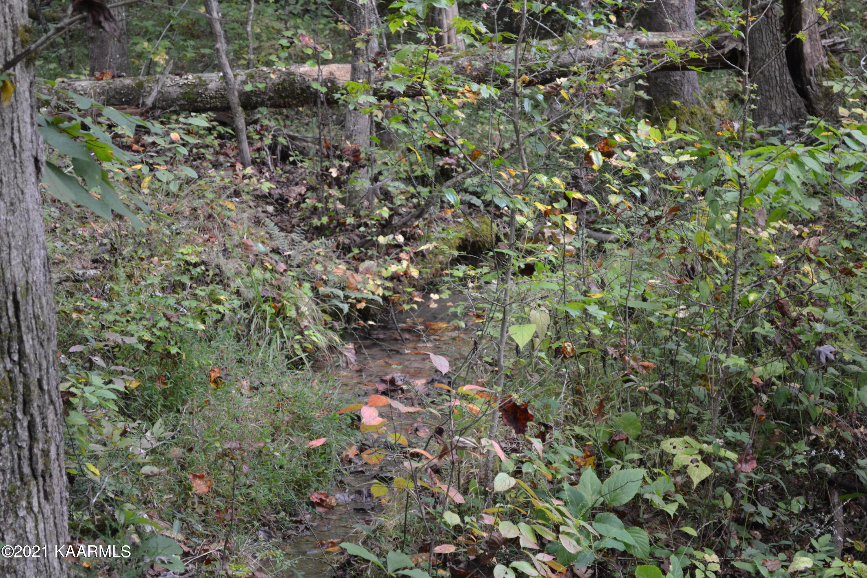 Warman Dr Spring Spring City, TN 37381 - Photo 18 of 18 DSC_0367