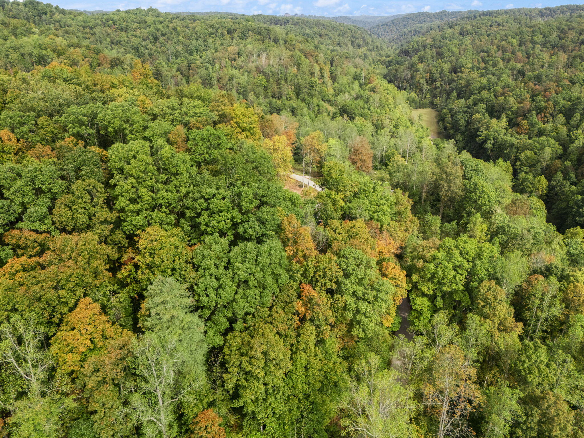 116 Barkers Branch Road Stanton, KY 40380 - Photo 22 of 70 IMG_9116