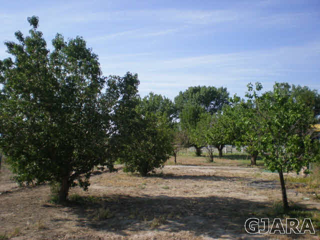 2322 I Road Grand Junction, CO 81505 - Photo 27 of 34