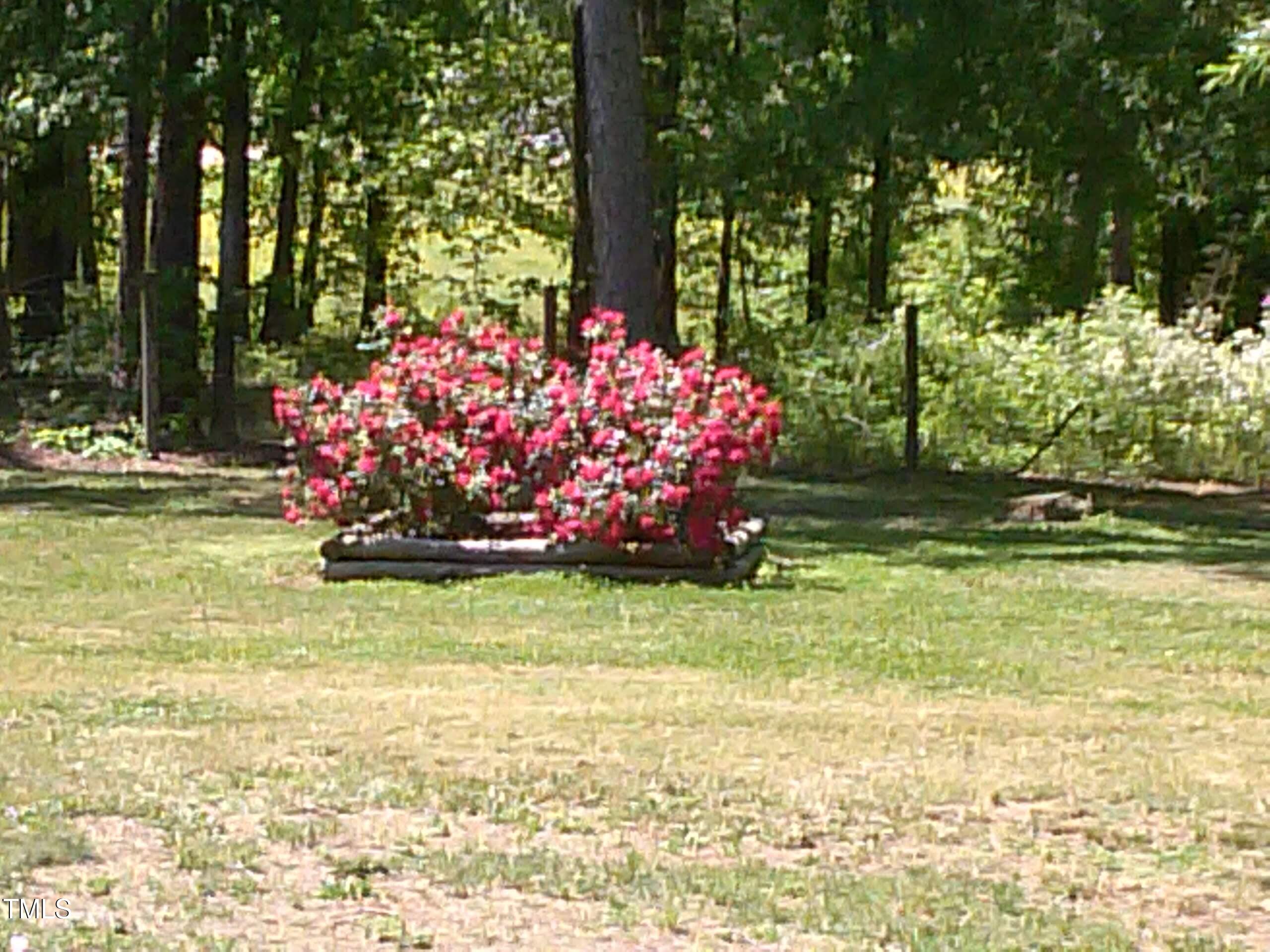 7027 Old 421 Road Julian, NC 27283 - Photo 43 of 72 0511141205