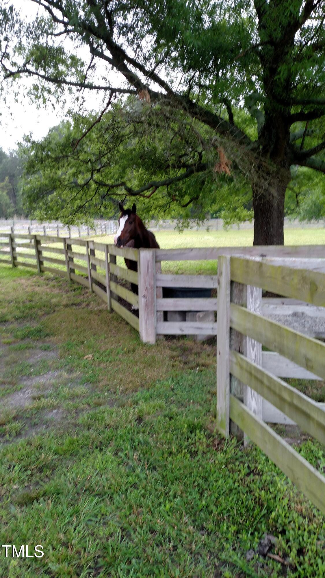 7027 Old 421 Road Julian, NC 27283 - Photo 44 of 72 IMG_20160531_080512299