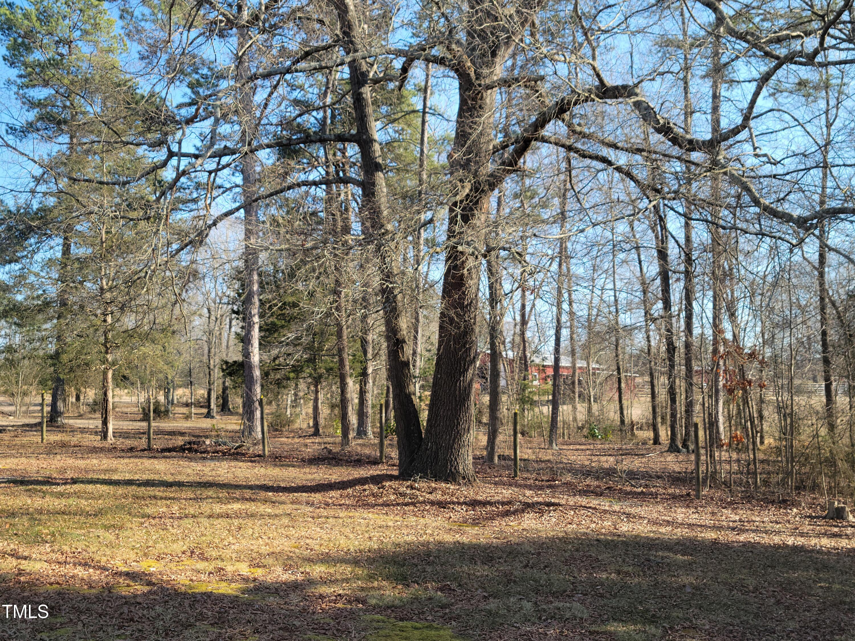 7027 Old 421 Road Julian, NC 27283 - Photo 5 of 72 a view of a yard with large trees