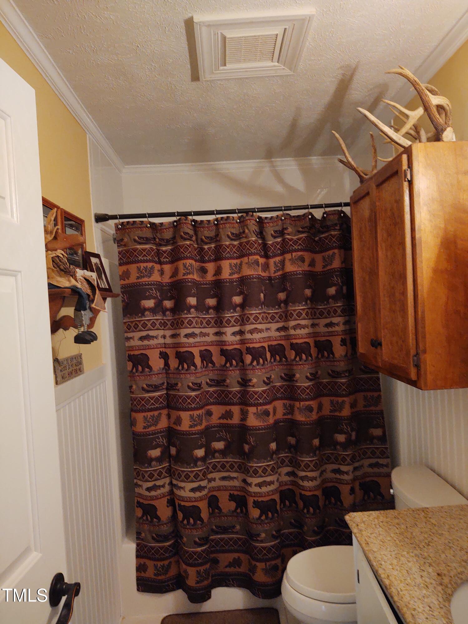 7027 Old 421 Road Julian, NC 27283 - Photo 55 of 72 a bathroom with a toilet and shower