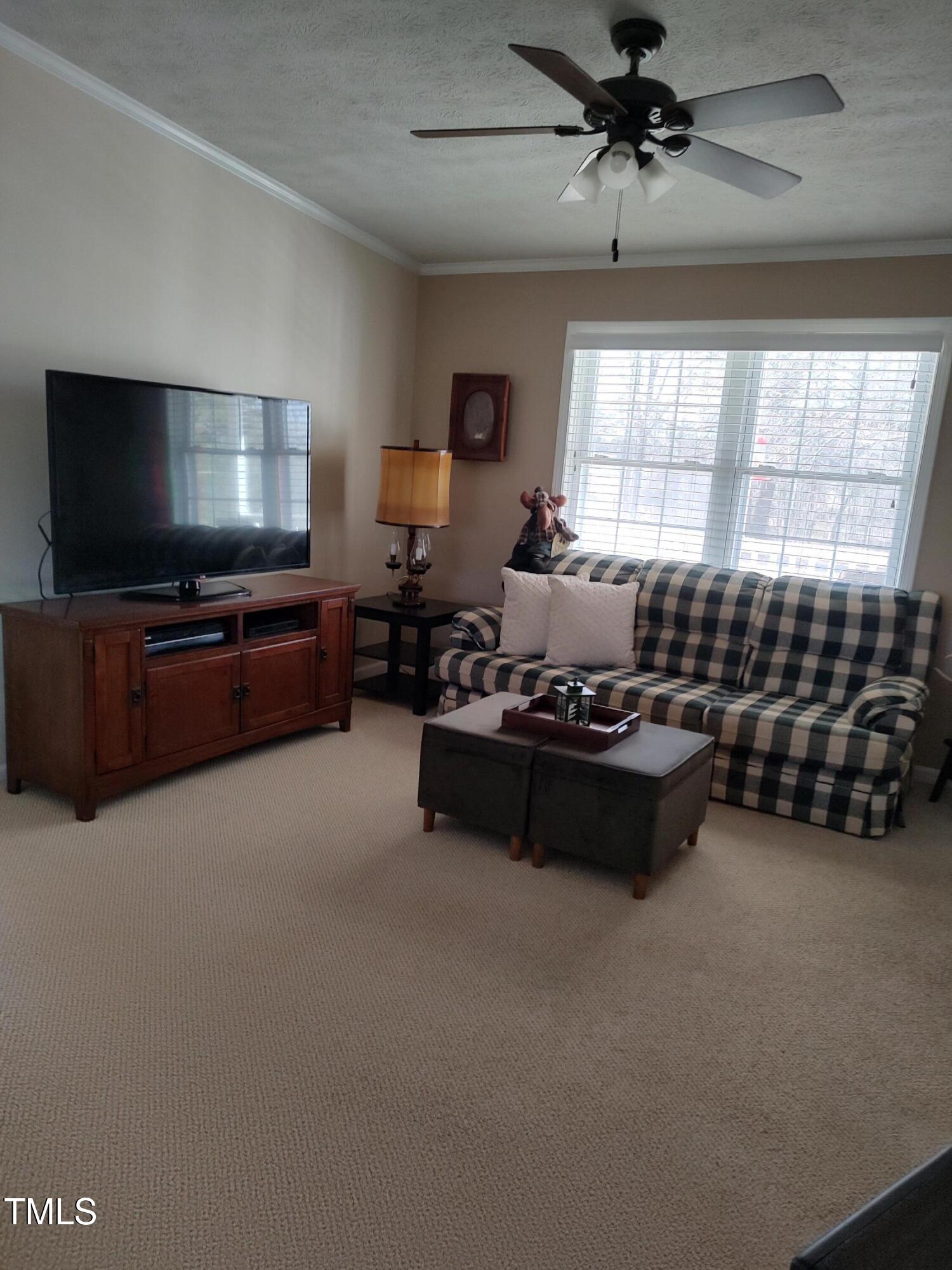 7027 Old 421 Road Julian, NC 27283 - Photo 61 of 72 a living room with furniture and a flat screen tv