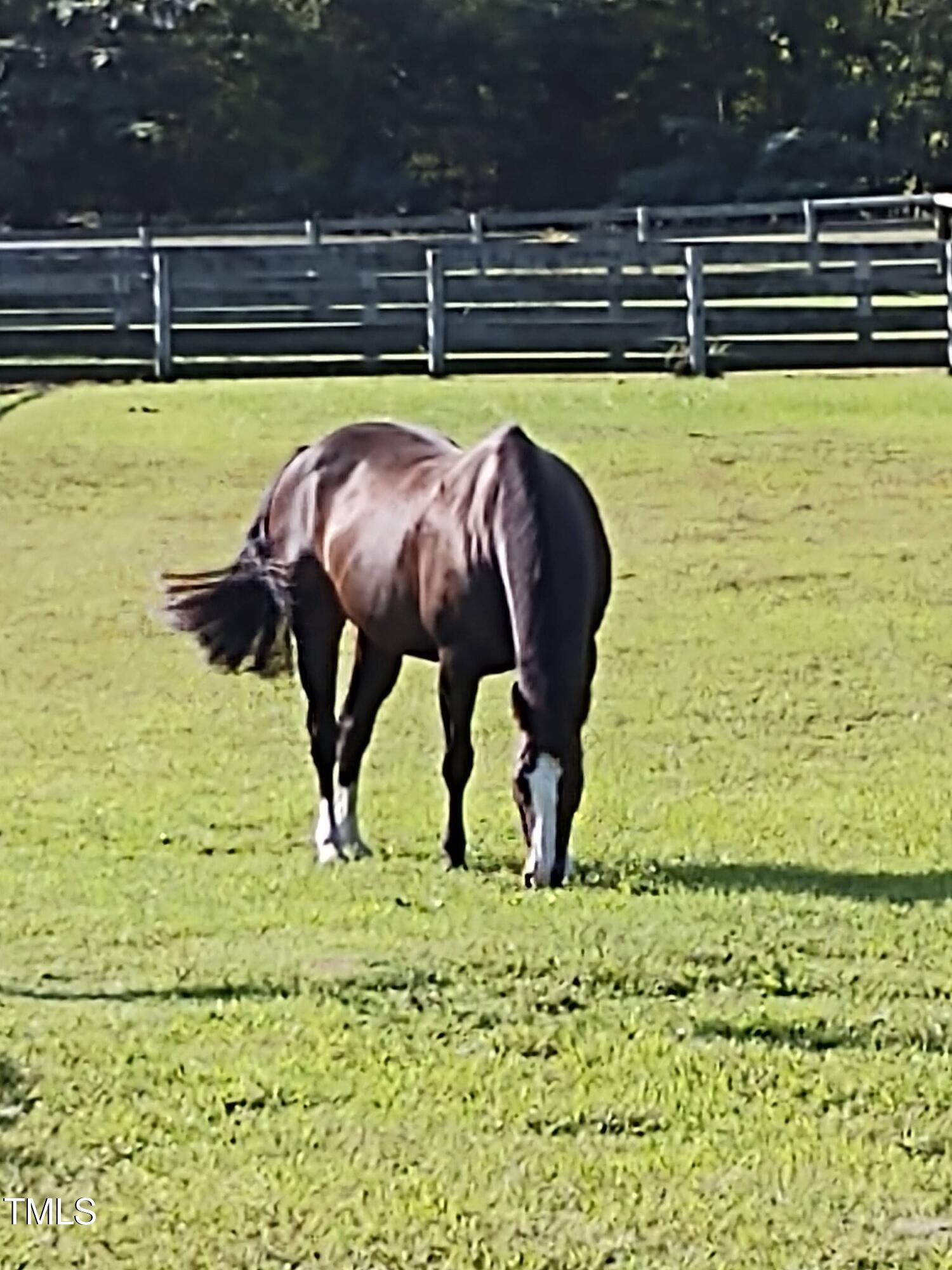 7027 Old 421 Road Julian, NC 27283 - Photo 70 of 72 IMG_20250119_135837