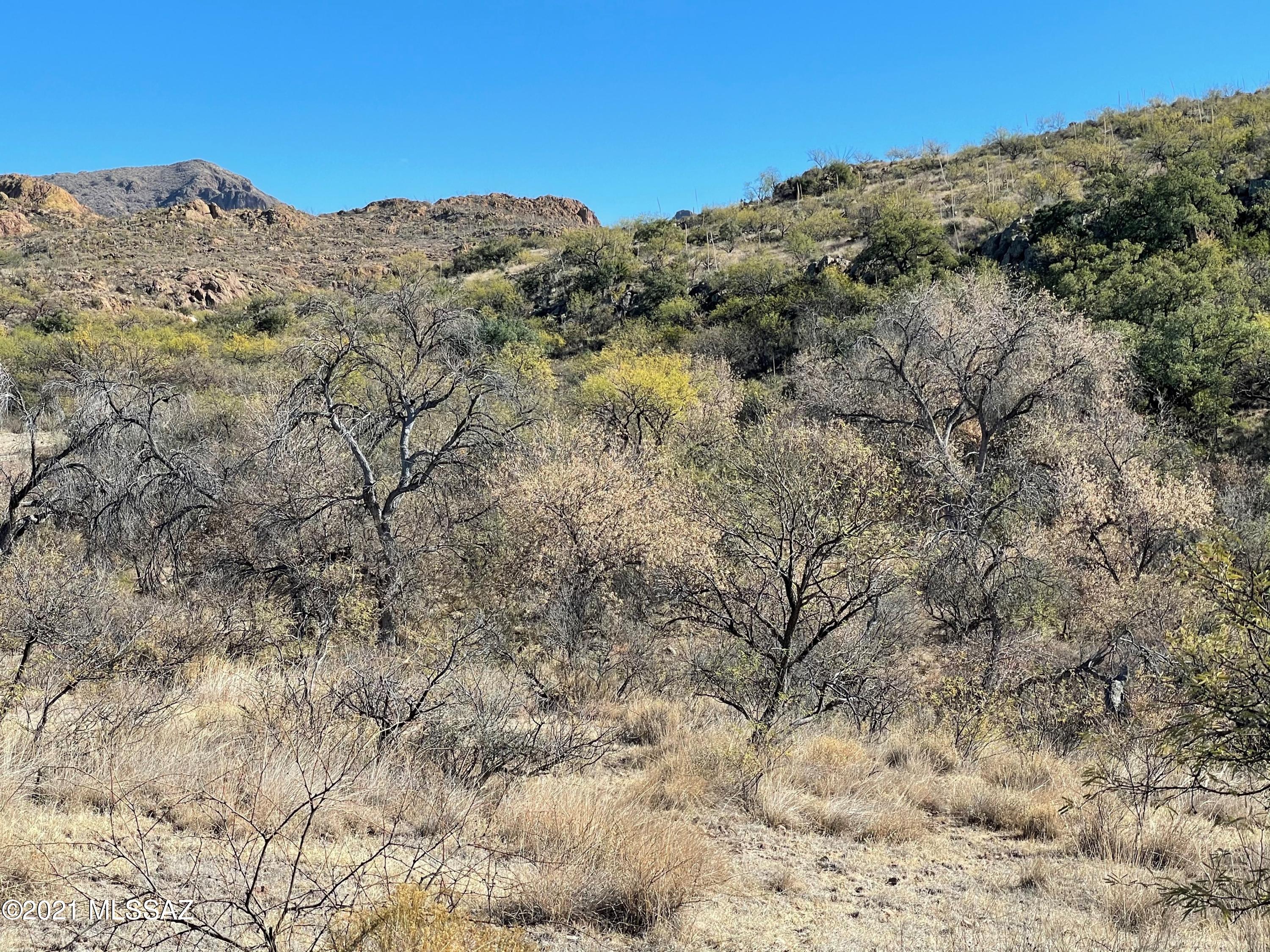 Tbd Morning Star Drive, Unit 62 Rio Rico, AZ 85648 - Photo 7 of 23