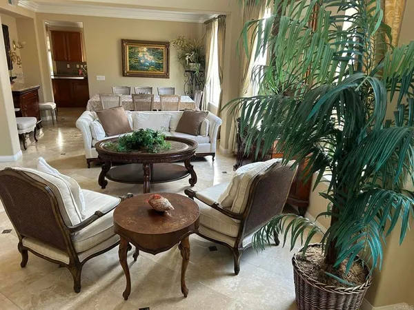 a living room with furniture and a potted plant