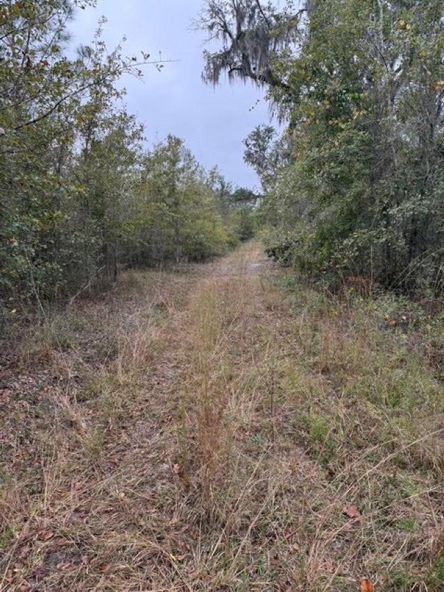 650 Northwest Flowers Road Madison, FL 32340 - Photo 12 of 30