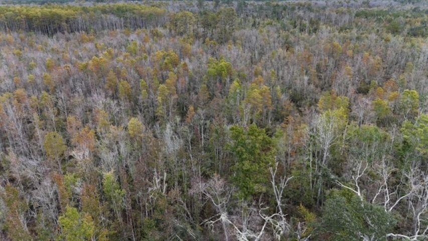 650 Northwest Flowers Road Madison, FL 32340 - Photo 13 of 30