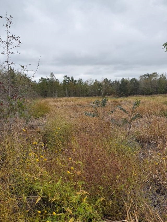 650 Northwest Flowers Road Madison, FL 32340 - Photo 15 of 30