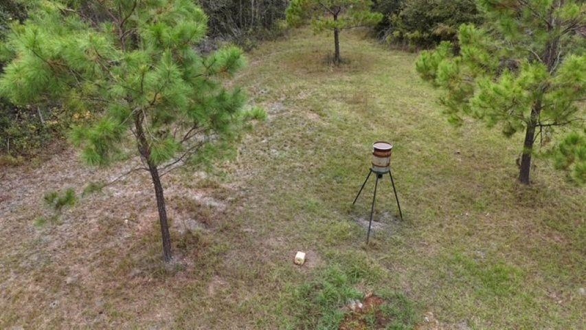650 Northwest Flowers Road Madison, FL 32340 - Photo 15 of 30