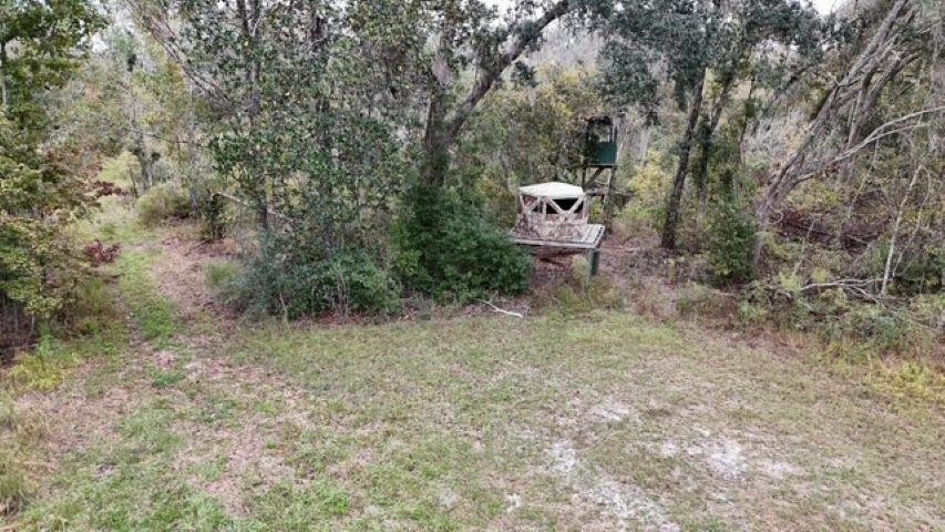 650 Northwest Flowers Road Madison, FL 32340 - Photo 16 of 30