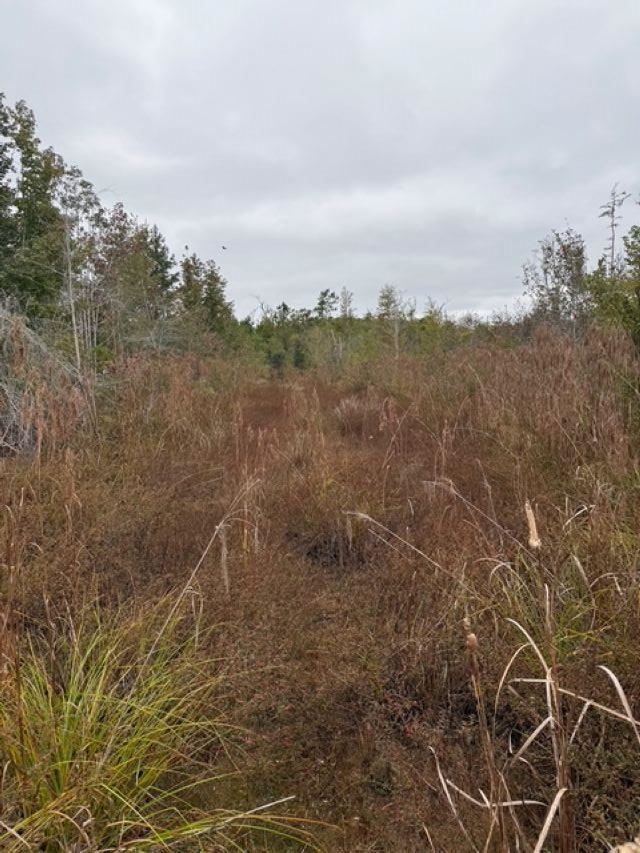 650 Northwest Flowers Road Madison, FL 32340 - Photo 2 of 30