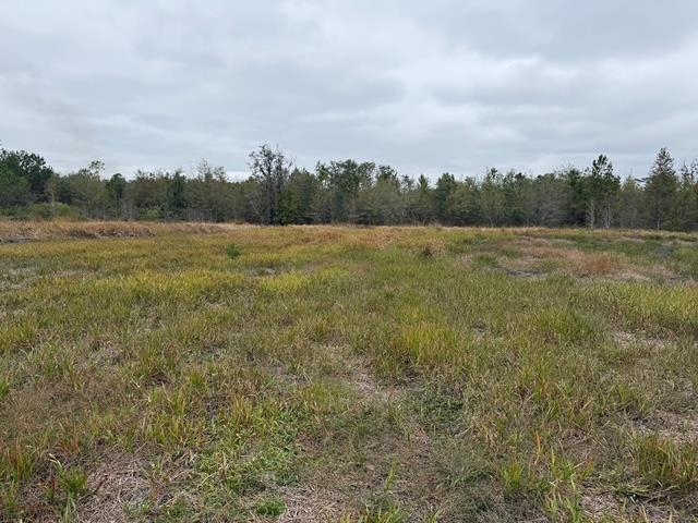 650 Northwest Flowers Road Madison, FL 32340 - Photo 23 of 30