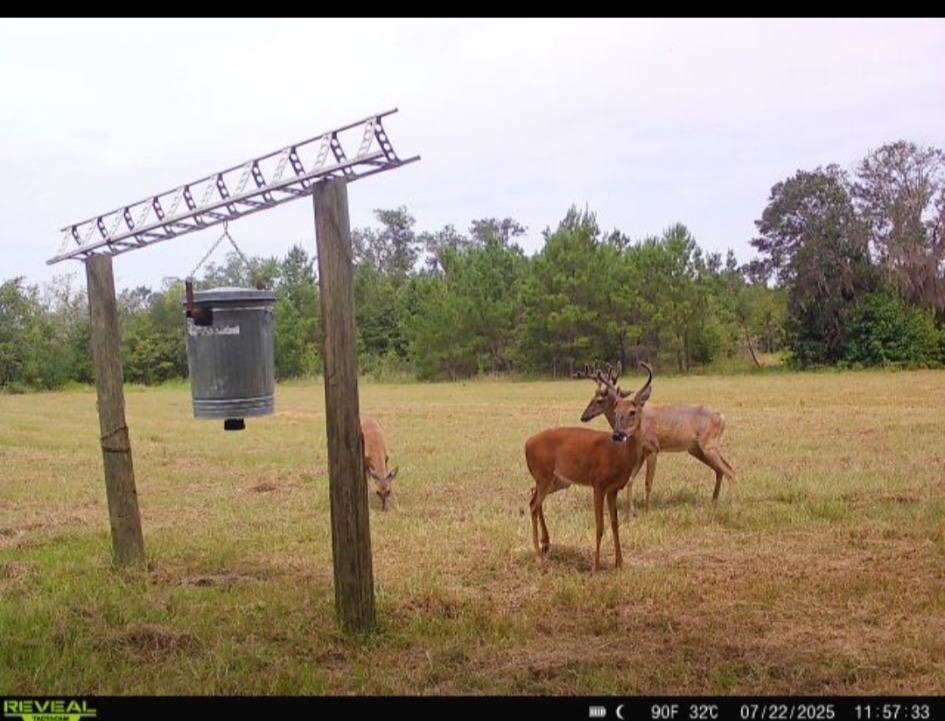 650 Northwest Flowers Road Madison, FL 32340 - Photo 24 of 30