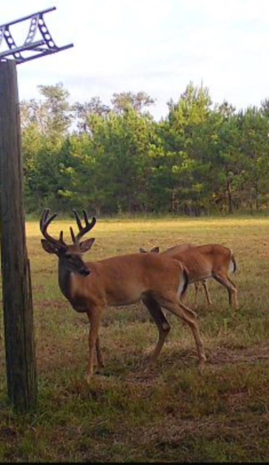 650 Northwest Flowers Road Madison, FL 32340 - Photo 25 of 30