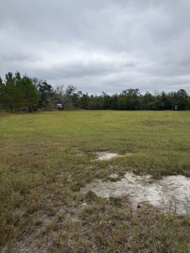 650 Northwest Flowers Road Madison, FL 32340 - Photo 26 of 30