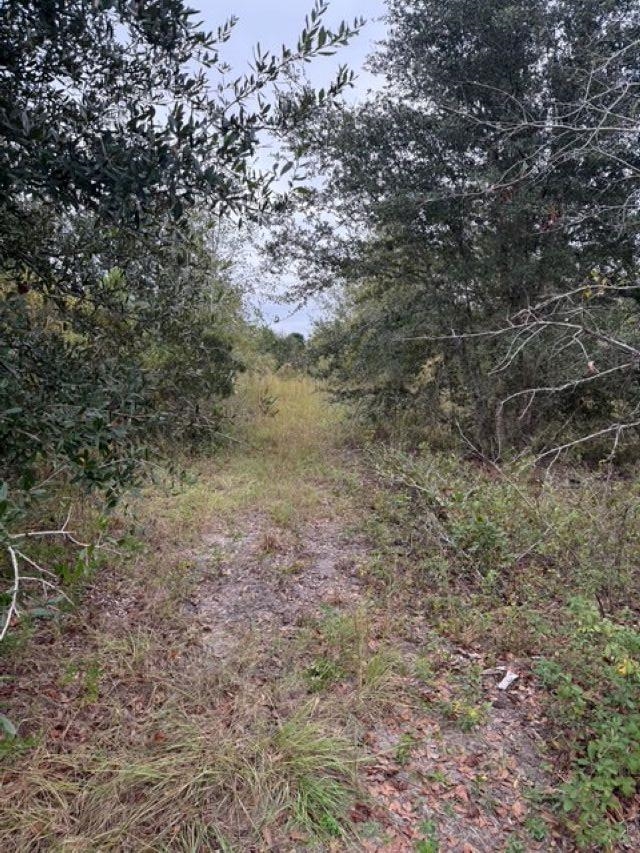 650 Northwest Flowers Road Madison, FL 32340 - Photo 29 of 30