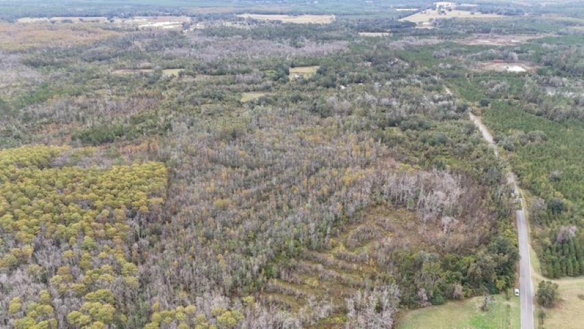 650 Northwest Flowers Road Madison, FL 32340 - Photo 5 of 30