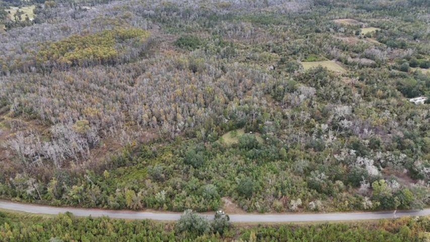 650 Northwest Flowers Road Madison, FL 32340 - Photo 8 of 30