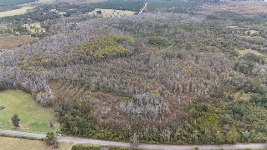 650 Northwest Flowers Road Madison, FL 32340 - Photo 9 of 30