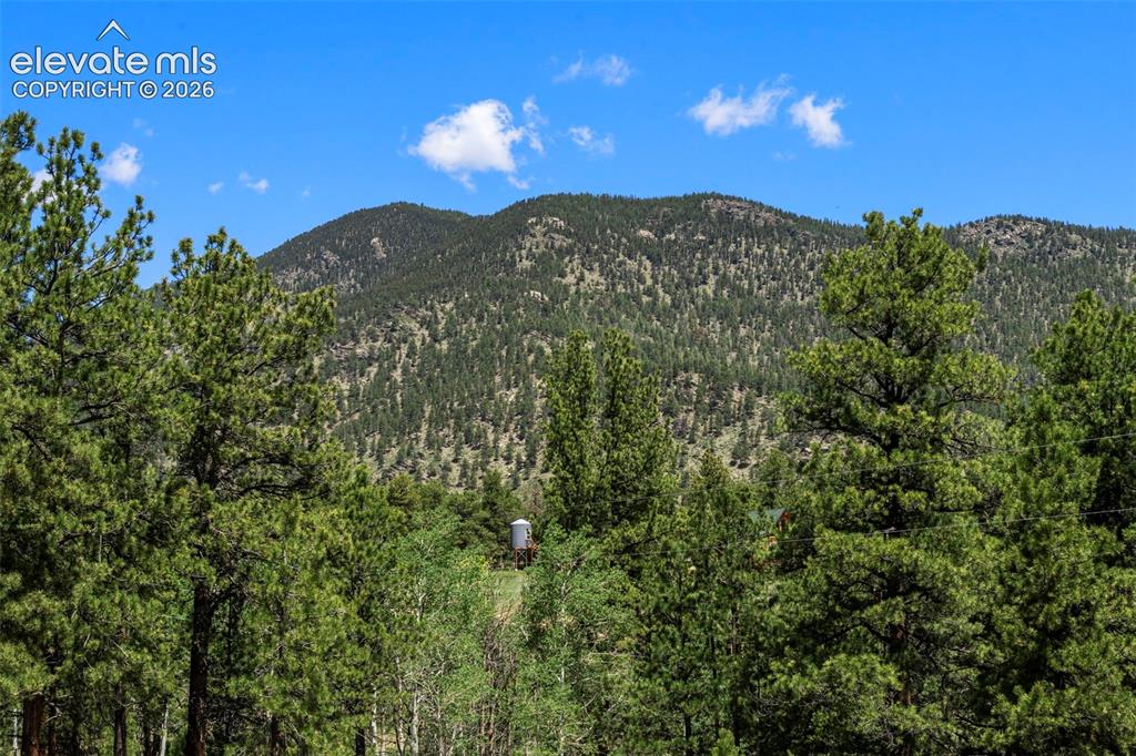 546 Pulver Road Lake George, CO 80827 - Photo 24 of 45 a view of a city