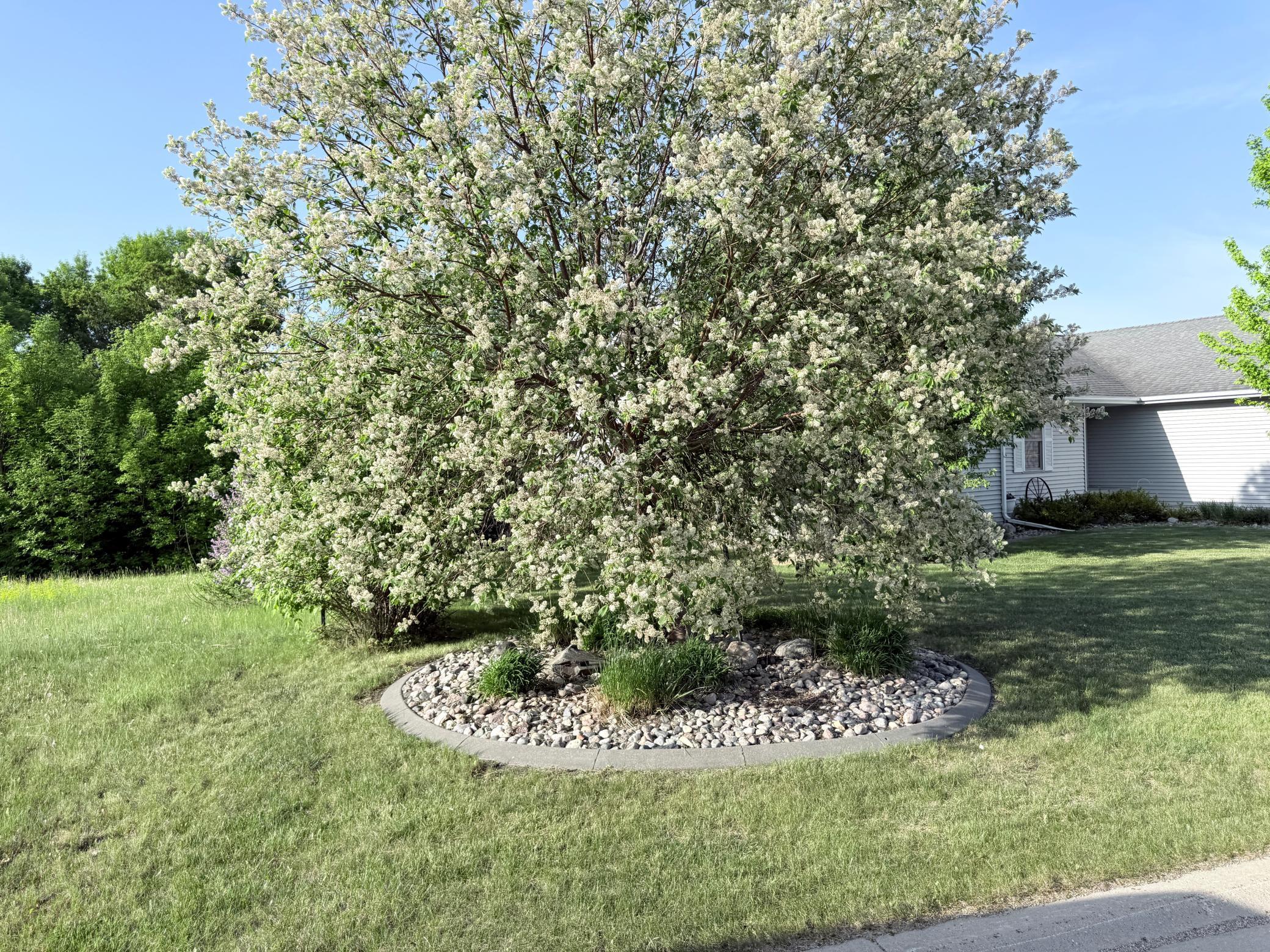2317 Hillcrest Lane Hawley, MN 56549 - Photo 77 of 86