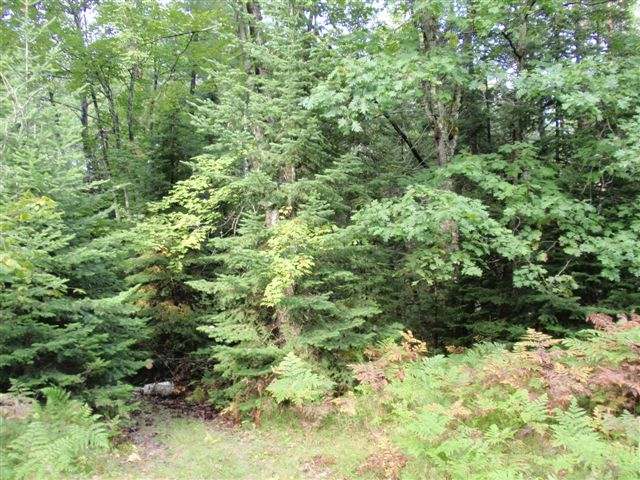 Lot 35 Garrett's Trail Rhinelander, WI 54501 - Photo 11 of 16 Gallery Image 11