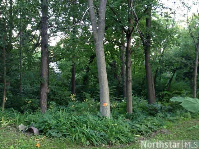 5917 Ridgewood Road Mound, MN 55364 - Photo 15 of 17