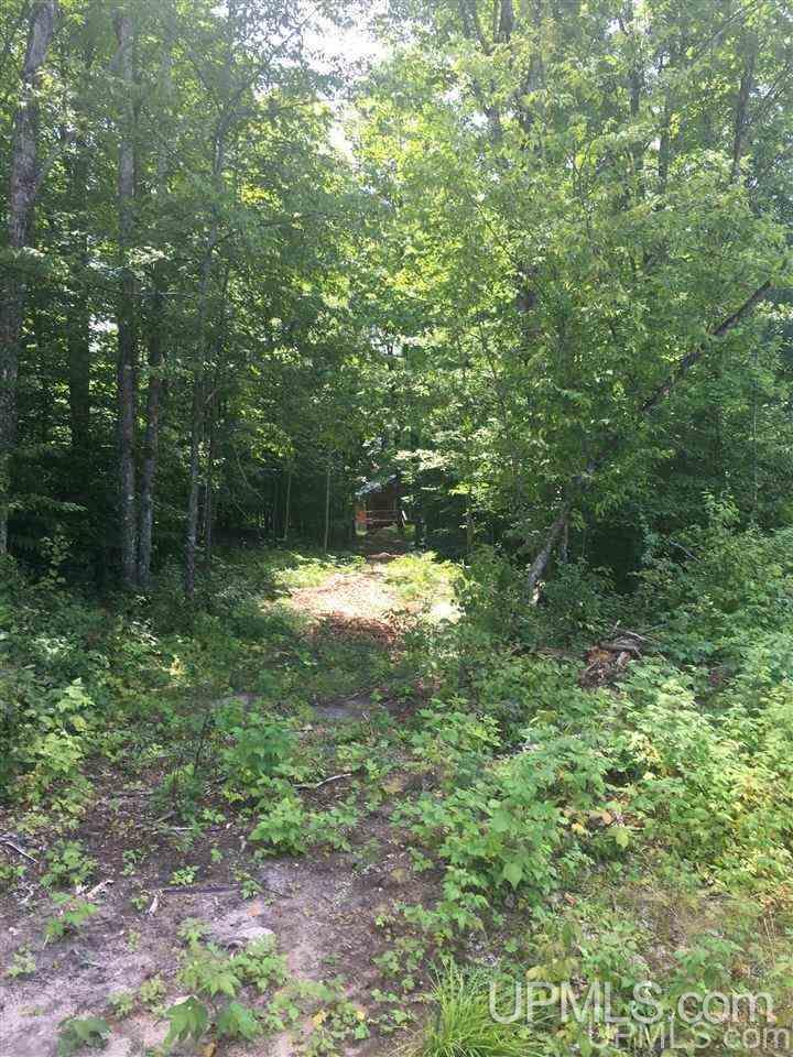 N3001 Tower Road Gwinn, MI 49841 - Photo 44 of 46