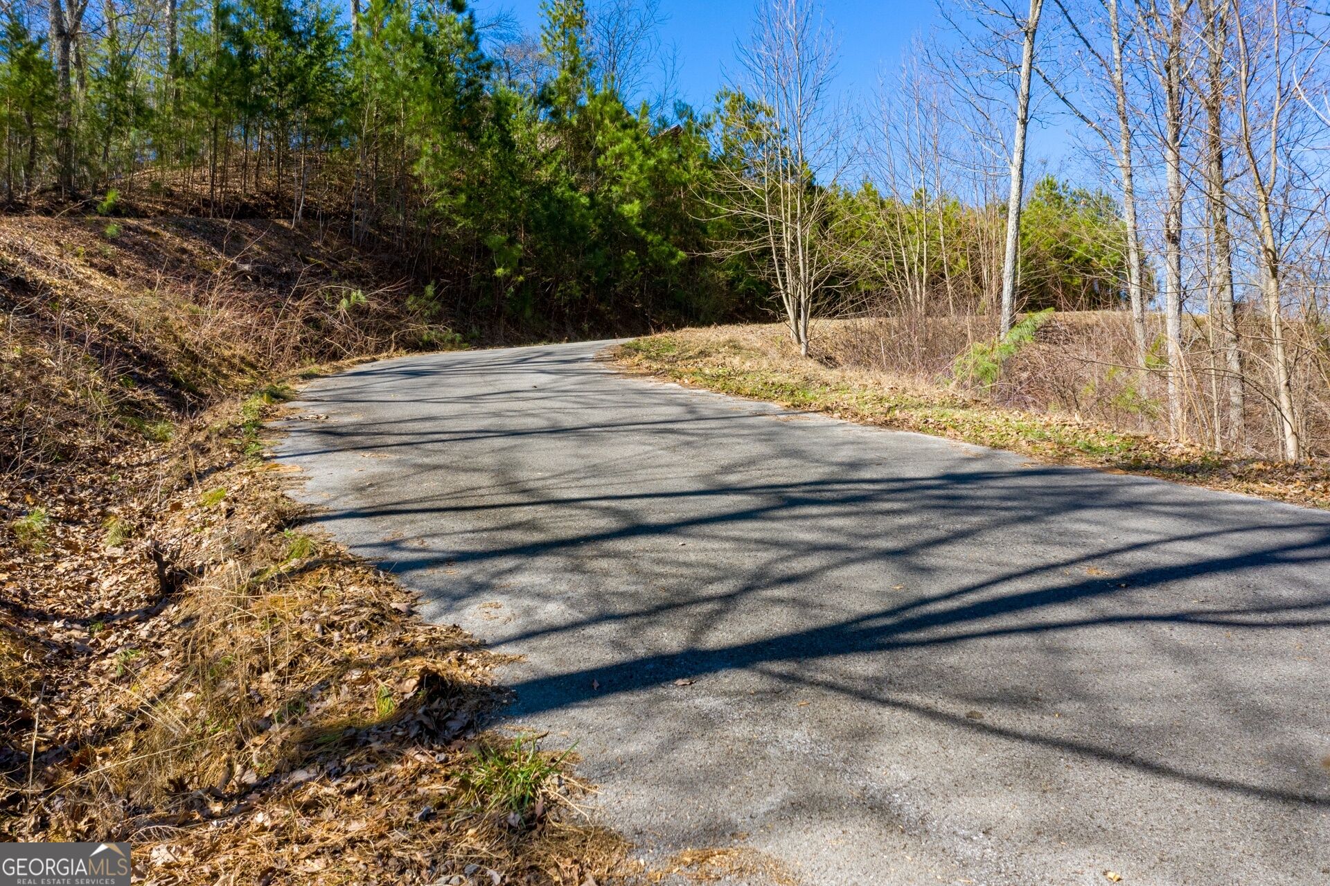 278 Carters Overlook Drive, Unit 28 Ranger, GA 30734 - Photo 7 of 17 Gallery Image 7