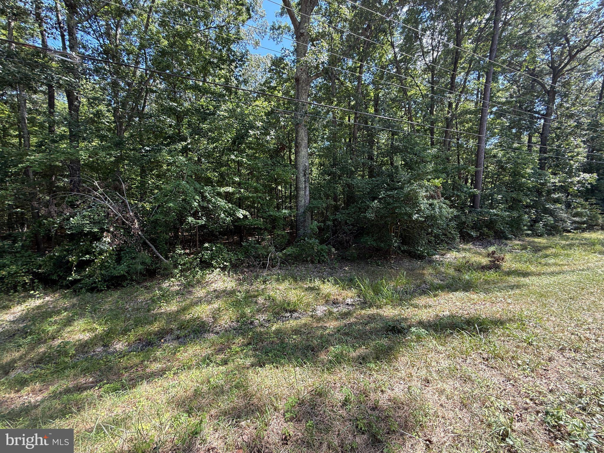 18832 Piney Point Road Valley Lee, MD 20692 - Photo 2 of 14 a view of outdoor space and a yard