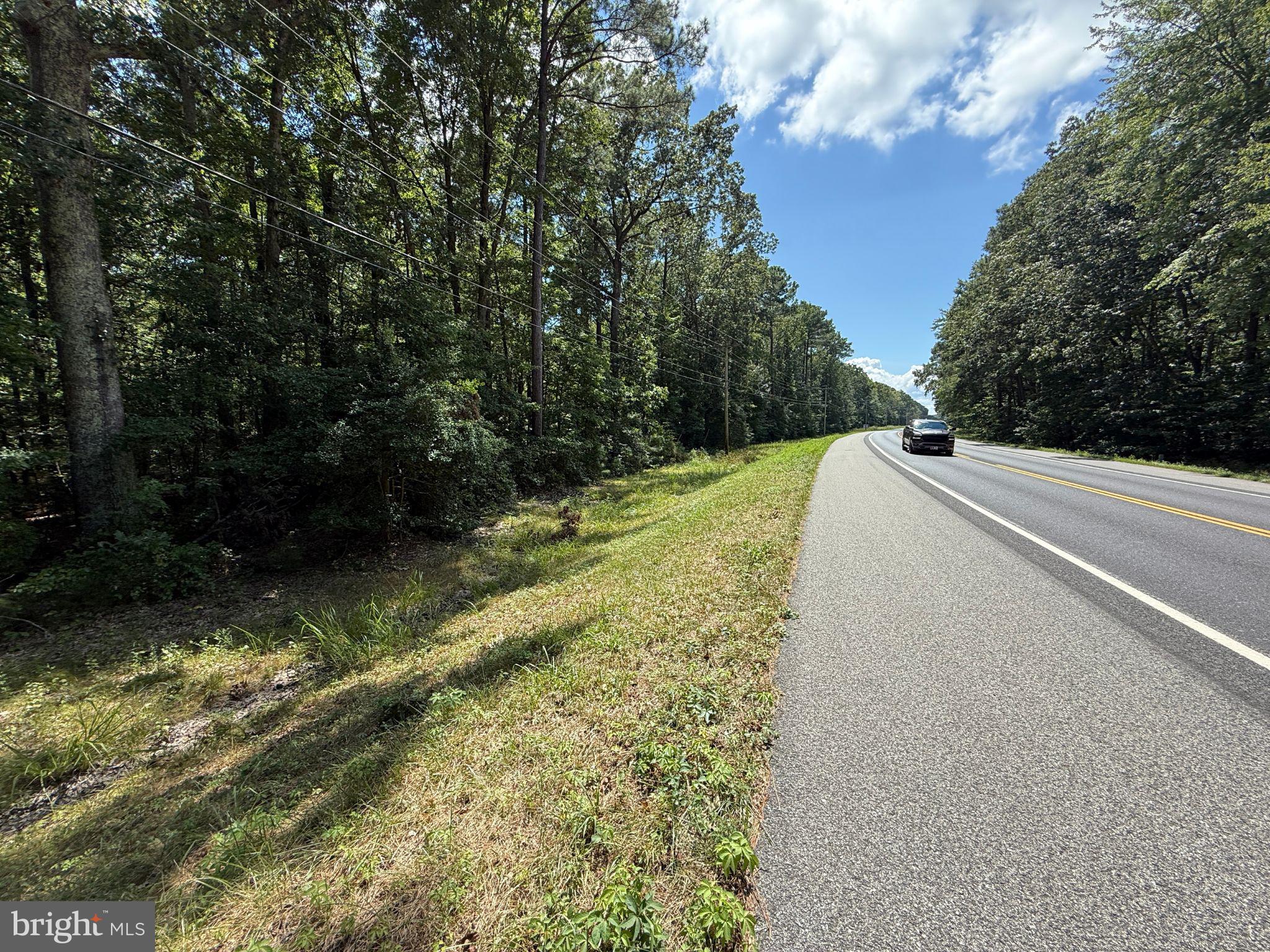 18832 Piney Point Road Valley Lee, MD 20692 - Photo 3 of 14 a yard with large trees and plants