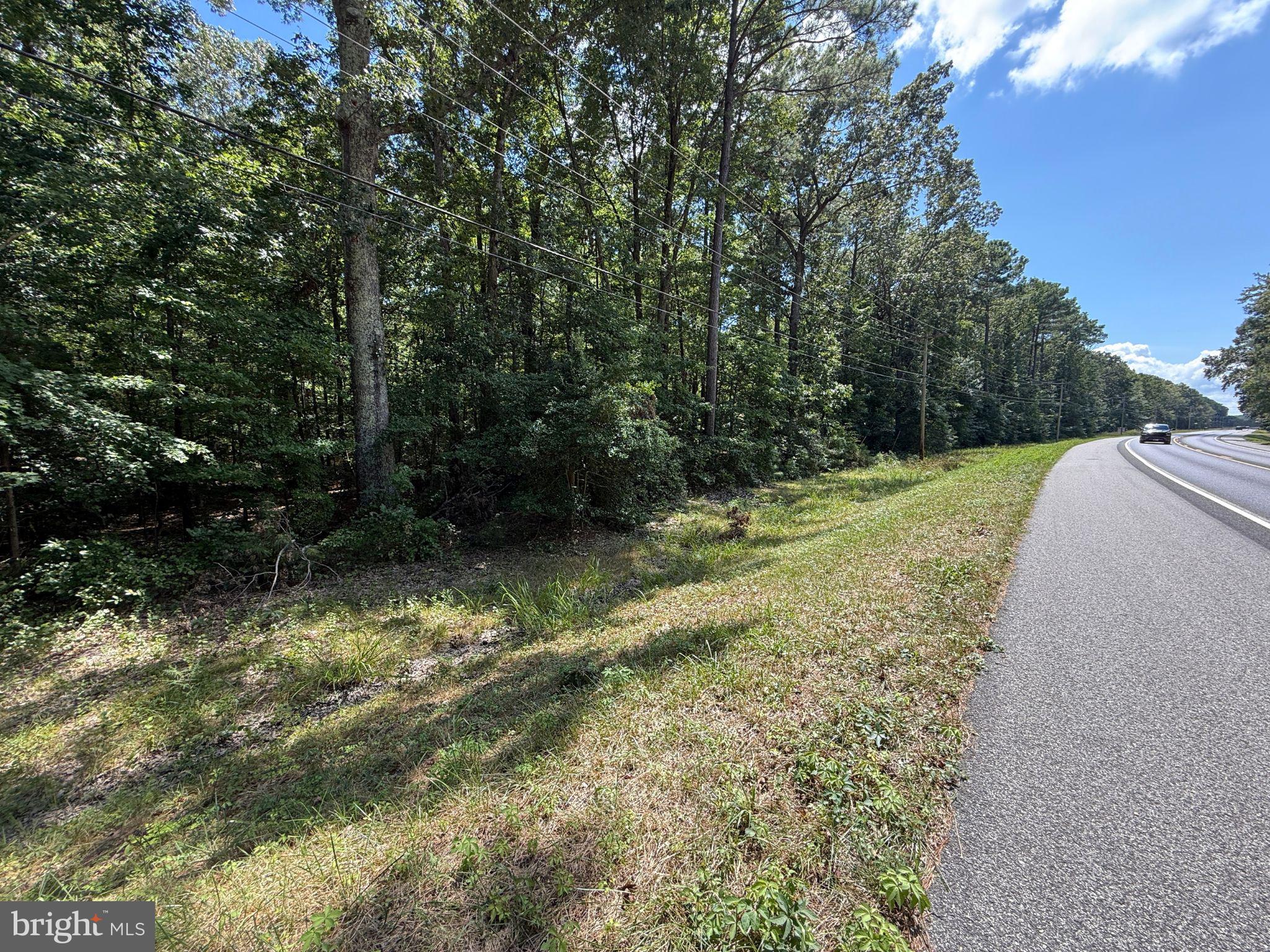 18832 Piney Point Road Valley Lee, MD 20692 - Photo 4 of 14 a view of a yard with large trees