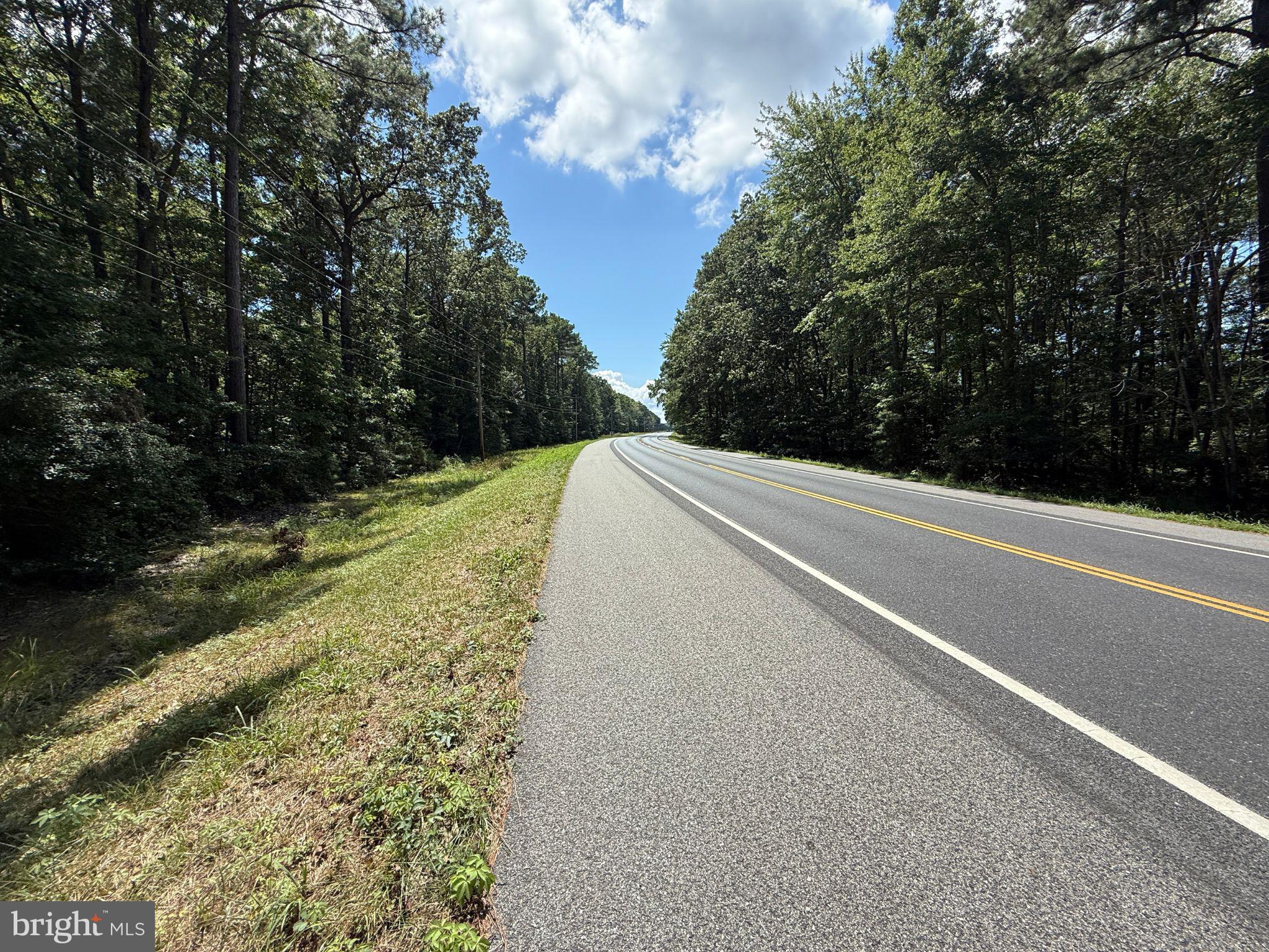 18832 Piney Point Road Valley Lee, MD 20692 - Photo 6 of 14 a view of a yard with large trees