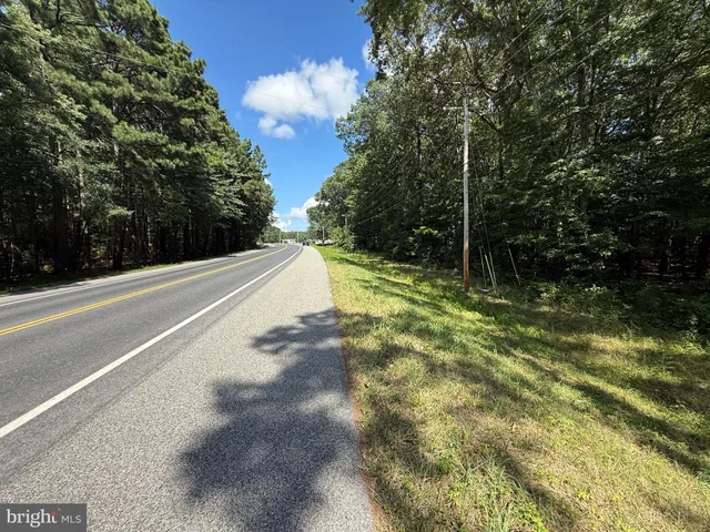 a view of a yard with a trees