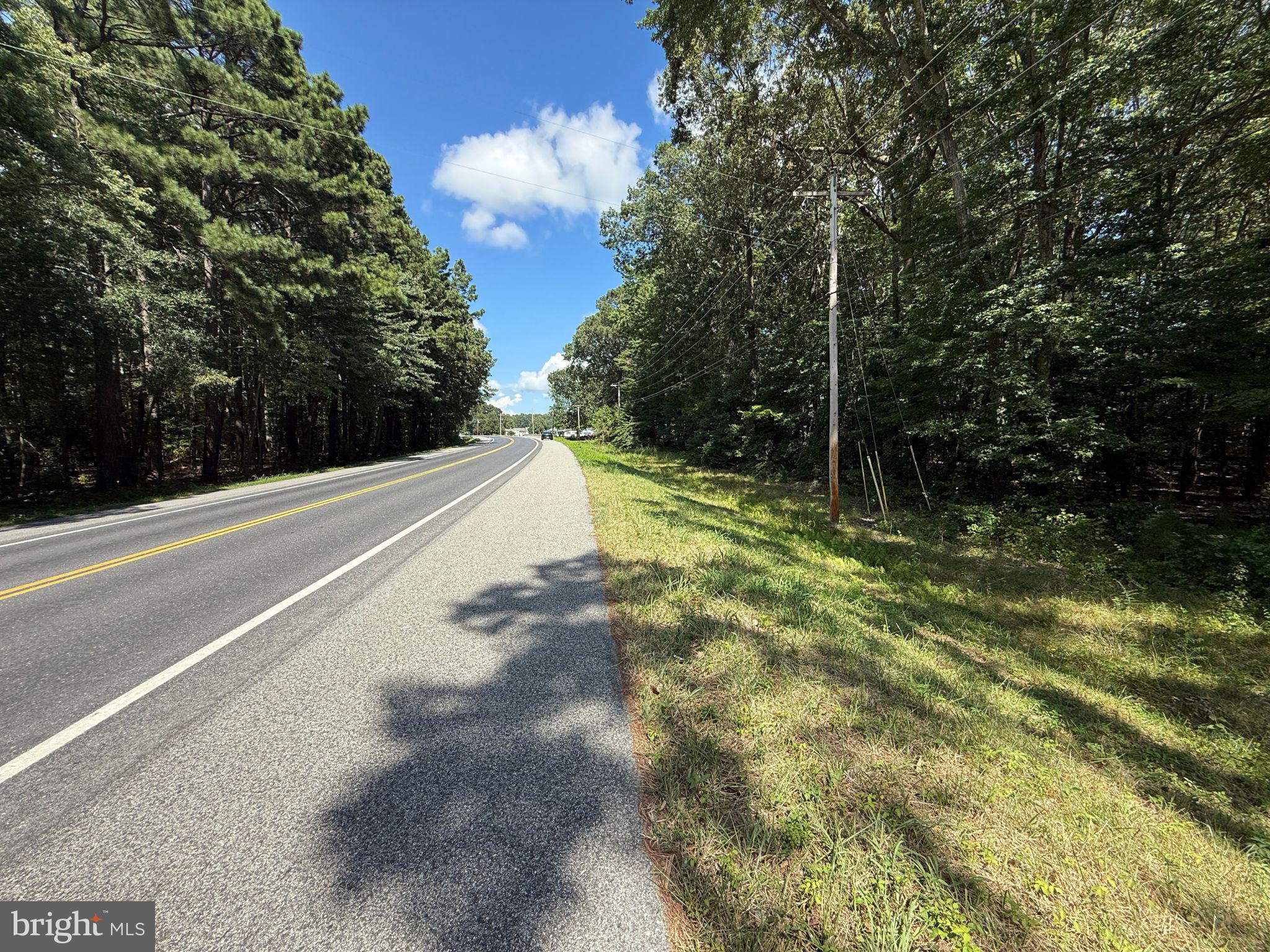 18832 Piney Point Road Valley Lee, MD 20692 - Photo 9 of 14 a view of a yard with a trees